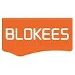 Blokees Model Kits: Marvel & Transformers | Zail's Vault